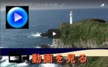 動画を観る