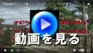 動画を観る