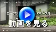 動画を観る