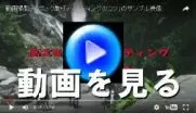 動画を観る